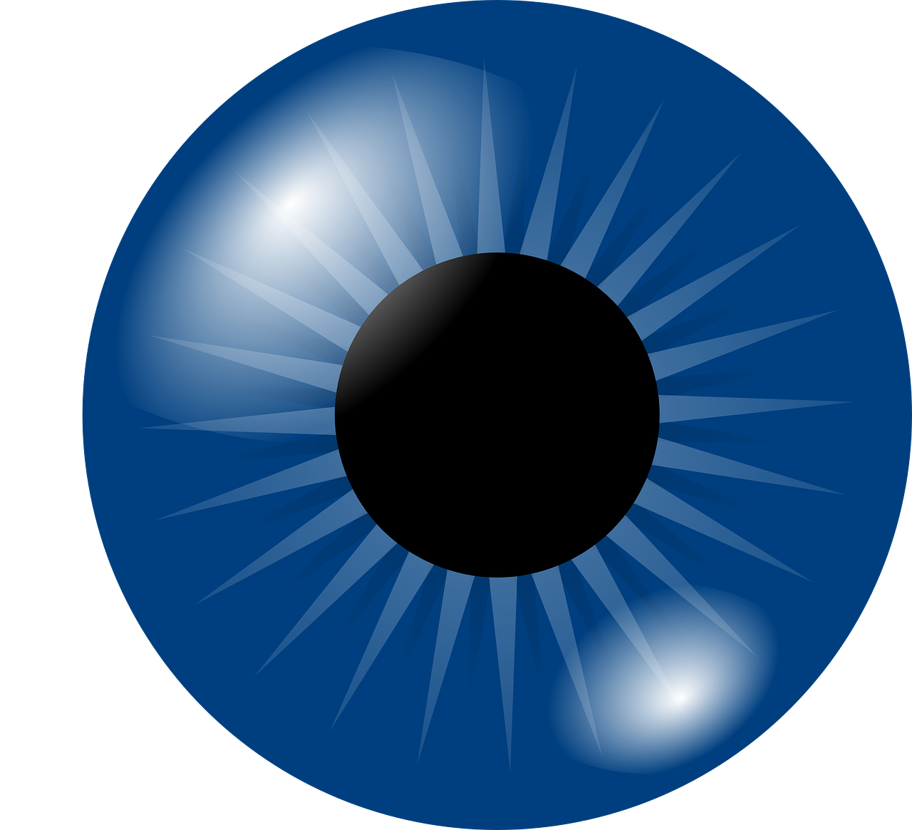 eyeball, eye, iris-304964.jpg